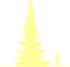Пиктограмма: высота, биоформа, габитус, habitus, ель сербская (picea omorika)