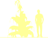 Пиктограмма: высота, габитус (habitus) кипарисовик нутканский (chamaecyparis nootkatensis}) 'pendula'
