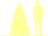 Пиктограмма: высота, биоформа, габитус, habitus, кипарисовик нутканский (chamaecyparis nootkatensis) 'variegata'
