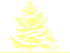 Пиктограмма: высота растения, биоформа, габитус, habitus, лиственница Кемпфера (larix kaempferi)' '