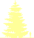 Пиктограмма: высота, биоформа, габитус, habitus, пихта одноцветная (abies concolor) 'violacea'