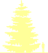 Пиктограмма: высота, биоформа, габитус, habitus, пихта одноцветная (abies concolor)