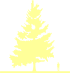 Пиктограмма: высота, биоформа, габитус, habitus, псевдотсуга Мензиса (pseudotsuga menziesii)