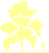 Пиктограмма: высота, биоформа, габитус, habitus, сосна обыкновенная (pinus sylvestris)