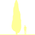 Пиктограмма: высота, биоформа, габитус, habitus, сосна обыкновенная (pinus sylvestris) 'fastigiata'
