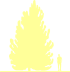 Пиктограмма: высота, биоформа, габитус, habitus, сосна черная (pinus nigra) 'oregon green'