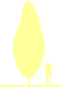 Пиктограмма: высота, габитус (habitus) сосна черная (pinus nigra}) 'pyramiladis'