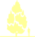 Пиктограмма: высота растения, биоформа, габитус, habitus, сосна корейская (pinus koraiensis)' '