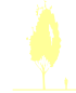 Пиктограмма: высота растения, биоформа, габитус, habitus, береза бородавчатая (betula pendula)' obelisk'
