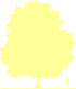 Пиктограмма: высота, габитус (habitus) бук лесной (fagus sylvatica}), типовой вид