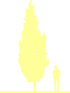 Пиктограмма: высота растения, биоформа, габитус, habitus, бук лесной (fagus sylvatica)' dawyck'