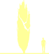 Пиктограмма: высота, габитус (habitus) бук лесной (fagus sylvatica}) 'rohan obelisk'