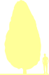 Пиктограмма: высота, габитус (habitus) граб обыкновенный (carpinus betulus}) 'columnaris'