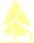 Пиктограмма: высота растения, биоформа, габитус, habitus, граб обыкновенный (carpinus betulus)' variegata'