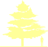 Пиктограмма: высота растения, биоформа, габитус, habitus, дуб болотный (quercus palustris)' '