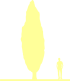 Пиктограмма: высота, габитус (habitus) дуб черешчатый (quercus robur}) 'fastigiata koster'