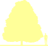Пиктограмма: высота, габитус (habitus) конский каштан розовый (aesculus × carnea}), типовой вид