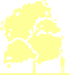 Пиктограмма: высота растения, биоформа, габитус, habitus, конский каштан обыкновенный (aesculus hippocastanum)' digitata'