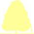 Пиктограмма: высота, габитус (habitus) конский каштан обыкновенный (aesculus hippocastanum}), типовой вид