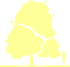 Пиктограмма: высота растения, биоформа, габитус, habitus, конский каштан обыкновенный (aesculus hippocastanum)' memmingeri'