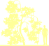 Пиктограмма: высота растения, биоформа, габитус, habitus, конский каштан обыкновенный (aesculus hippocastanum)' laciniata'