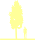 Пиктограмма: высота, биоформа, габитус, habitus, клен полевой (acer campestre) 'green column'