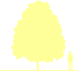Пиктограмма: высота растения, биоформа, габитус, habitus, липа мелколистная (tilia cordata)' greenspire'