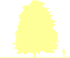 Пиктограмма: высота растения, биоформа, габитус, habitus, липа европейская (tilia europaea)' wratislaviensis'