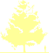 Пиктограмма: высота, габитус (habitus) ольха черная (alnus glutinosa}), типовой вид
