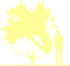Пиктограмма: высота растения, биоформа, габитус, habitus, слива растопыренная (prunus cerasifera)' hessei'