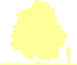 Пиктограмма: высота растения, биоформа, габитус, habitus, черемуха обыкновенная (prunus padus)' colorata'