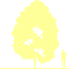 Пиктограмма: высота, габитус (habitus) рябина обыкновенная (sorbus aucuparia}), типовой вид