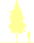 Пиктограмма: высота растения, биоформа, габитус, habitus, рябина обыкновенная (sorbus aucuparia)' fastigiata'