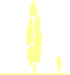 Пиктограмма: высота, габитус (habitus) тополь дрожащий (populus tremula}) 'erecta'