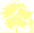 Пиктограмма: высота, габитус (habitus) яблоня гибридная (malus × hybrida}) 'eleyi'