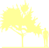 Пиктограмма: высота, габитус (habitus) яблоня гибридная (malus × hybrida}) 'evereste'