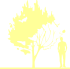 Пиктограмма: высота, габитус (habitus) яблоня гибридная (malus × hybrida}) 'red sentinel'
