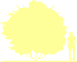 Пиктограмма: высота, габитус (habitus) яблоня гибридная (malus × hybrida}) 'royalty'