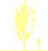 Пиктограмма: высота, габитус (habitus) яблоня гибридная (malus × hybrida}) 'van eseltine'
