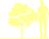 Пиктограмма: высота, биоформа, габитус, habitus, яблоня гибридная (malus hybrida) 'courtabri'