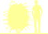 Пиктограмма: высота, габитус (habitus) барбарис корейский (berberis koreana}), типовой вид