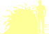 Пиктограмма: высота, биоформа, габитус, habitus, барбарис Тунберга (berberis thunbergii)