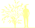 Пиктограмма: высота растения, биоформа, габитус, habitus, буддлея Давида (buddleja davidii)' black knight'