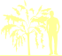 Пиктограмма: высота растения, биоформа, габитус, habitus, карагана древовидная (caragana arborescens)' lorbergii'