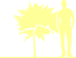 Пиктограмма: высота, биоформа, габитус, habitus, карагана древовидная (caragana arborescens) 'globosa'