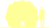 Пиктограмма: высота растения, биоформа, габитус, habitus, дерен белый (cornus alba)' aurea'