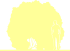 Пиктограмма: высота, биоформа, габитус, habitus, дерен белый (cornus alba) 'sibirica'
