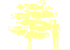 Пиктограмма: высота растения, биоформа, габитус, habitus, дерен коуза (cornus kousa)' satomi'