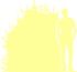 Пиктограмма: высота, биоформа, габитус, habitus, кизильник пузырчатый (cotoneaster bullatus)
