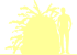 Пиктограмма: высота, биоформа, габитус, habitus, кизильник растопыренный (cotoneaster divaricatus)
